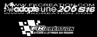 Sticker adopte une 206 s16