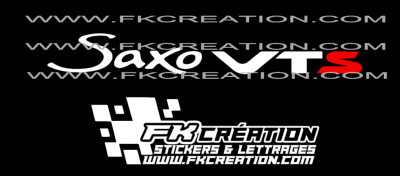 Sticker Saxo Vts Version 2