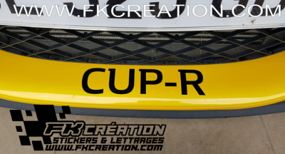 Sticker CUP-R Lame F1 Mégane RS v2