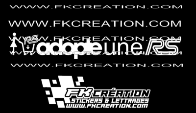 Sticker adopte une rs (Ford) v2